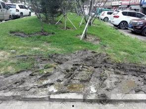 长春绿园区最新爆料,揭秘区域发展新动向与亮点